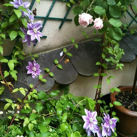 Appartement Les Serruriers - Spacieux Avec Terrasse & Parking *