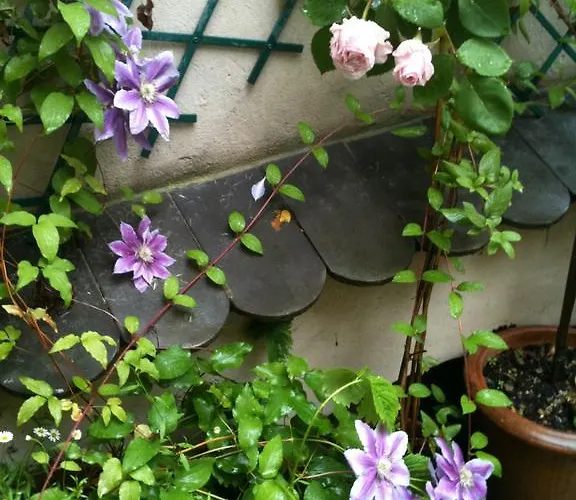 Appartement Les Serruriers - Spacieux Avec Terrasse & Parking *